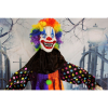 Haunted Hill Farm HHCLOWN-6FLSA - 8